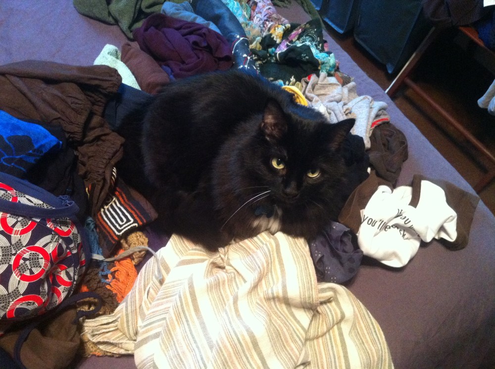 fatty on clothes
