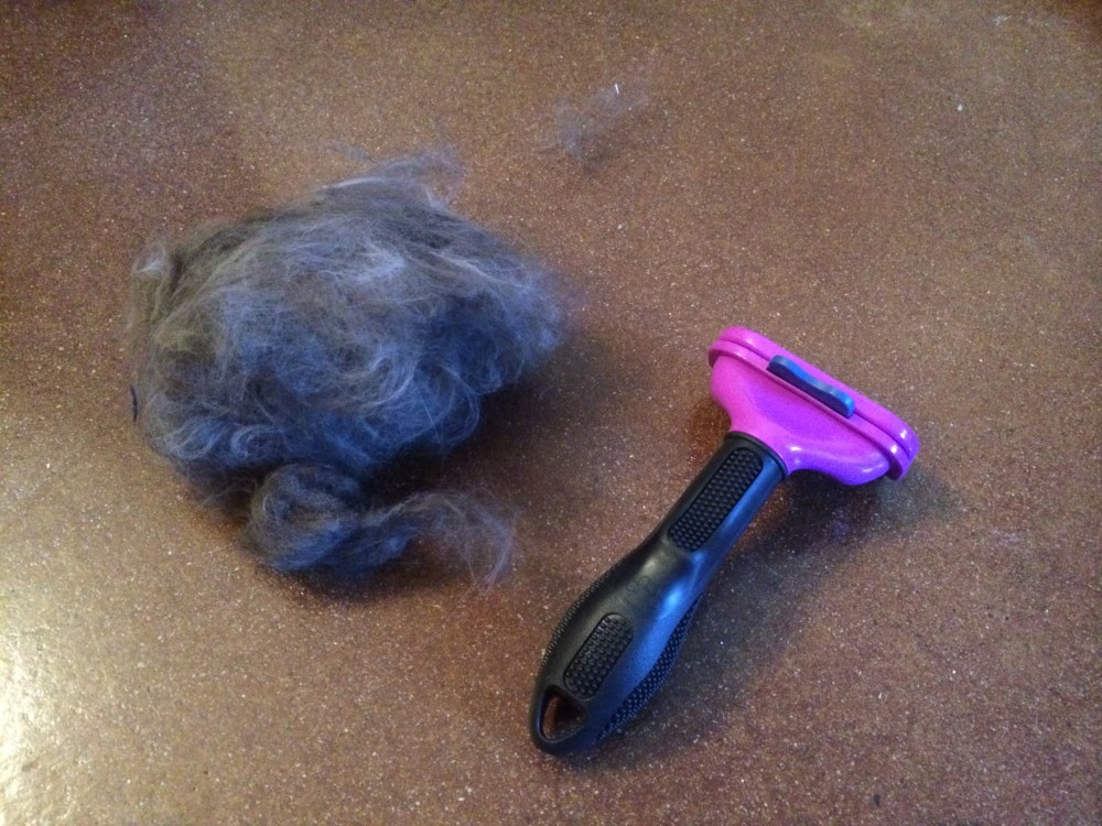 Fatty's Furminated Fur